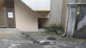 【横浜・女子大生刺殺】「女にフラれると『自殺する』とLINEに」…親友が語った伊藤龍稀容疑者(22)の素顔と複雑な家庭環境「親に冷たくされ家出、仕事を転々として蒲田の飲食店で出会ったのが紗菜ちゃんでした」