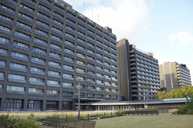 兵庫県庁(撮影/集英社オンライン)