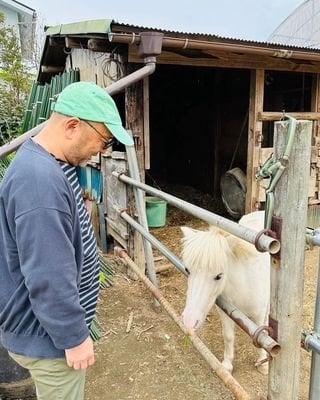 「清水農園」に行ったらいつも看板ポニー、シロちゃんにご挨拶