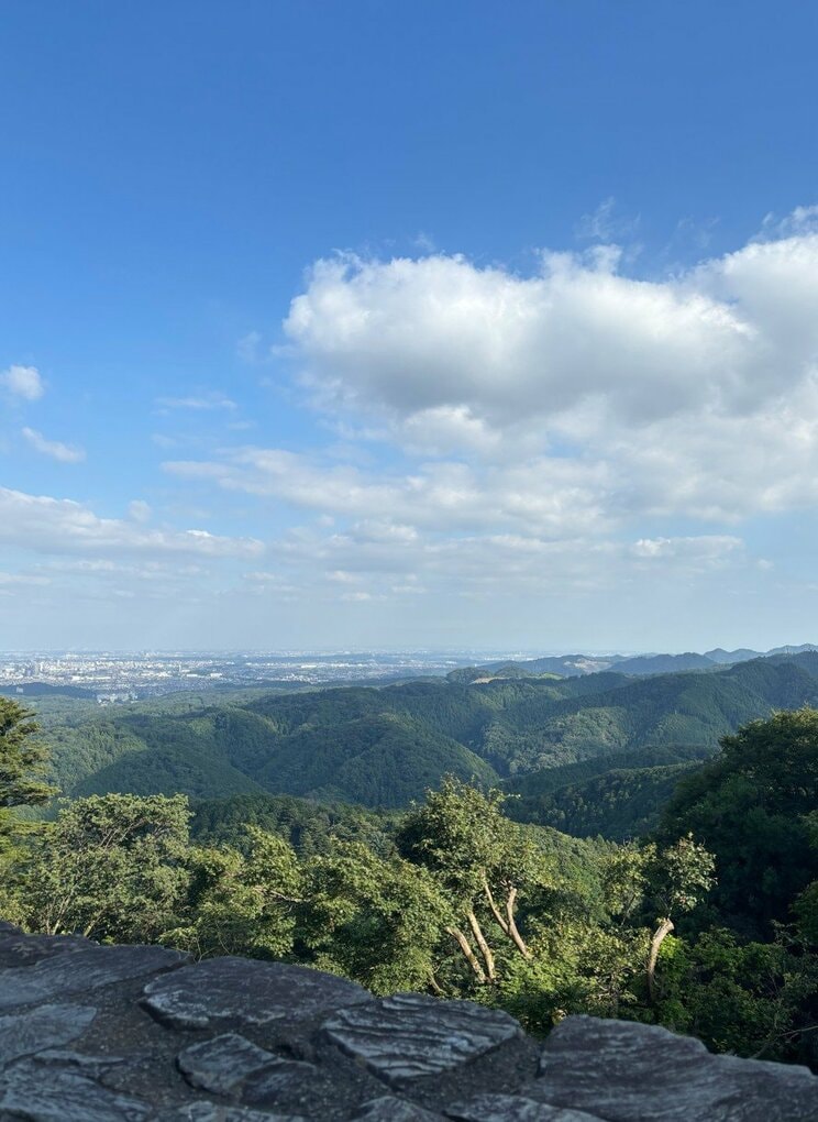 〈山の日〉東京なのに「北海道より涼しい」？ 真夏に高尾山へ行ってみたら…標高599mの避暑地の“実力”_16