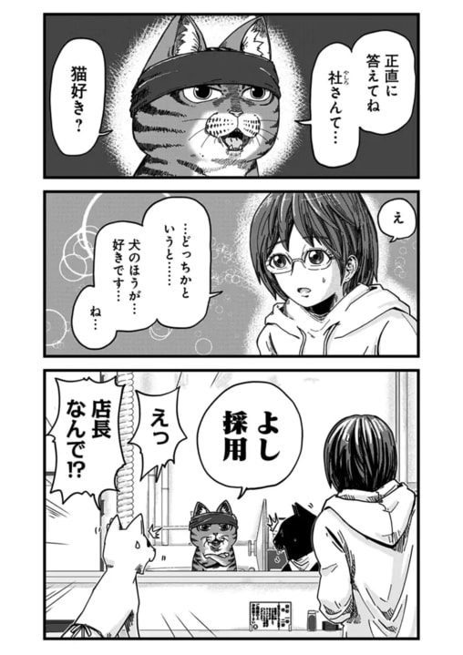 《漫画あり》「野宿しながら、大阪から島根まで徒歩で行ったり…」『ラーメン赤猫』作者・アンギャマンが過激化するライフワーク“行脚”を通して得た等身大の幸福とは？_10
