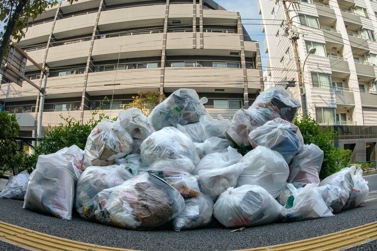 写真はイメージです