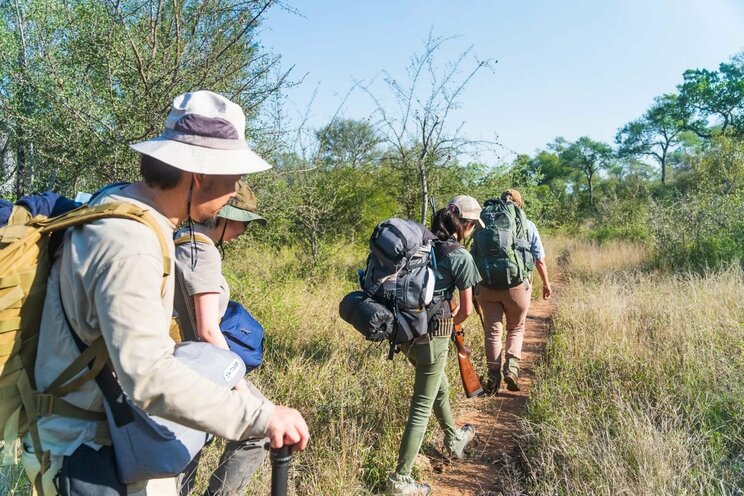 サバンナを歩くツアー参加者（写真／Yuka on Safari」ＨＰより）