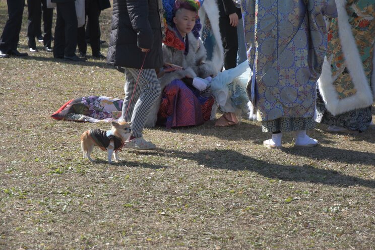 〈画像多数〉「カッコよく撮ってくださいよー！」 今年もド派手な衣装で盛り上がりを見せた北九州・二十歳の記念式典密着ルポ_45