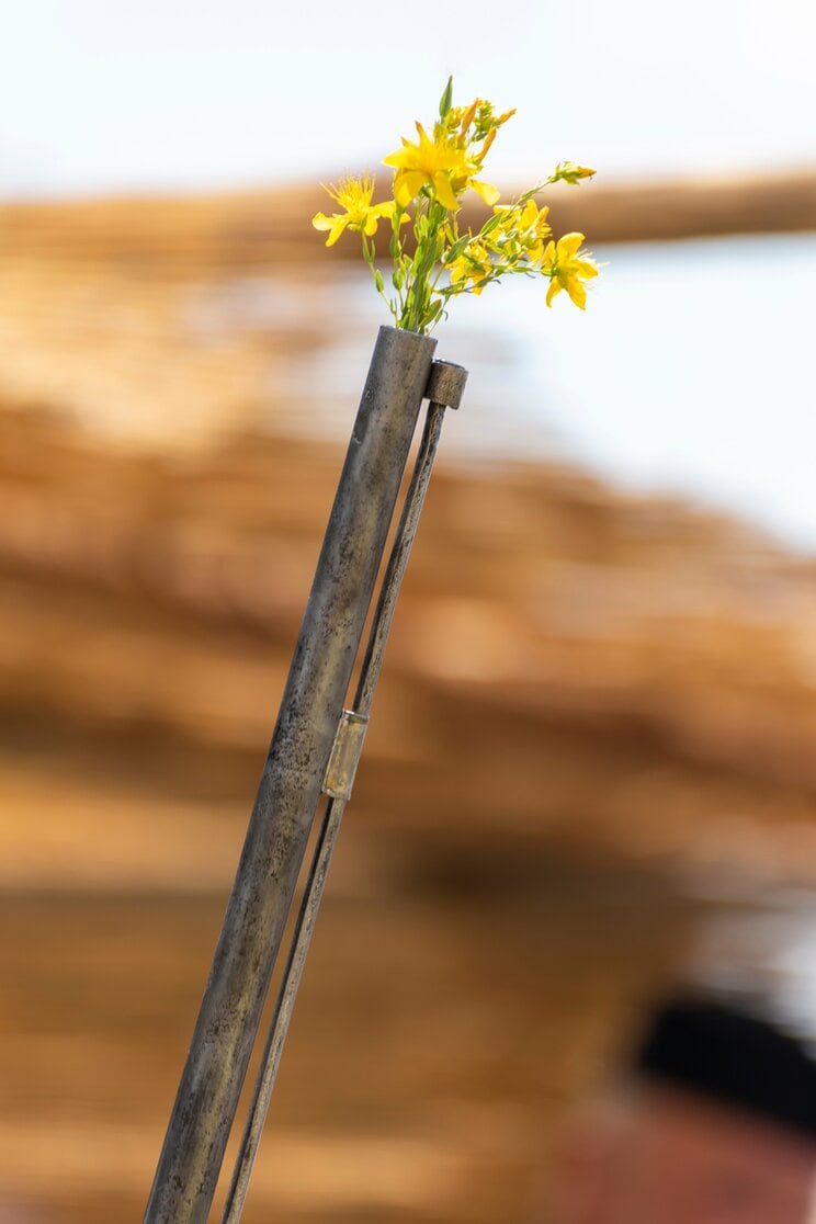 写真はイメージです　写真／Shutterstock