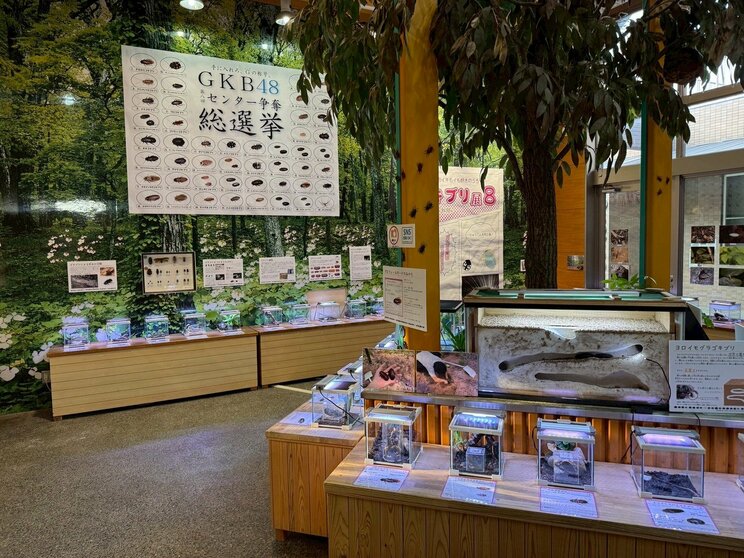 ゴキブリ展（企画展示室）