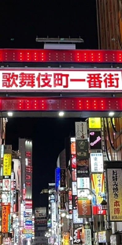 〈歌舞伎町名物”ママ”が逮捕〉「立ちんぼとも大ゲンカしてた」粗暴な言動からついた呼び名は“アパッチ”…あの「れいこママ」がトー横の少女を客引きに使い御用 _5