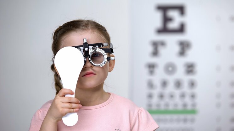 写真はイメージです（写真／Shutterstock）