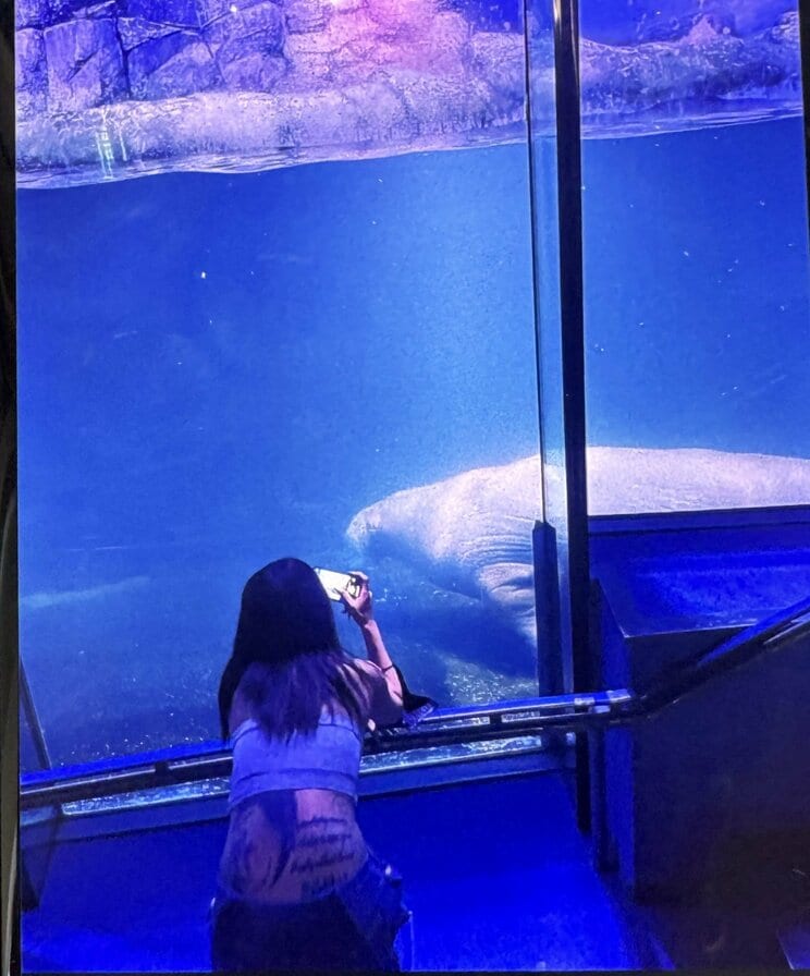 「仲よさそうだったのに」肌を露出し腰の刺青が目立つまみ容疑者の写真