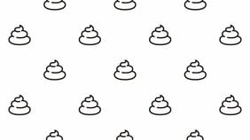 〈うんこ色のSDGs〉「安全な水とトイレを世界中に」という目標が如何にご都合主義的な主張か。野糞術を追求する糞土師の活動からわかること