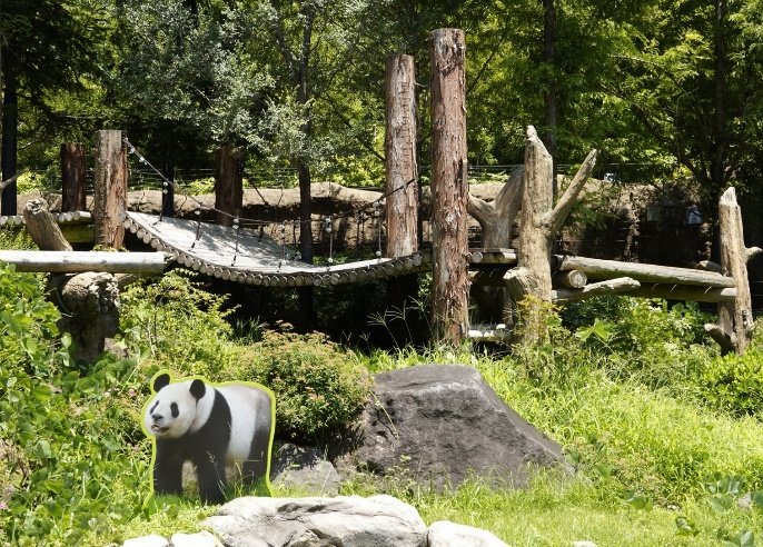 7月25日、上野動物園西園「パンダのもり」にあるリーリーのパネル（撮影／集英社オンライン）