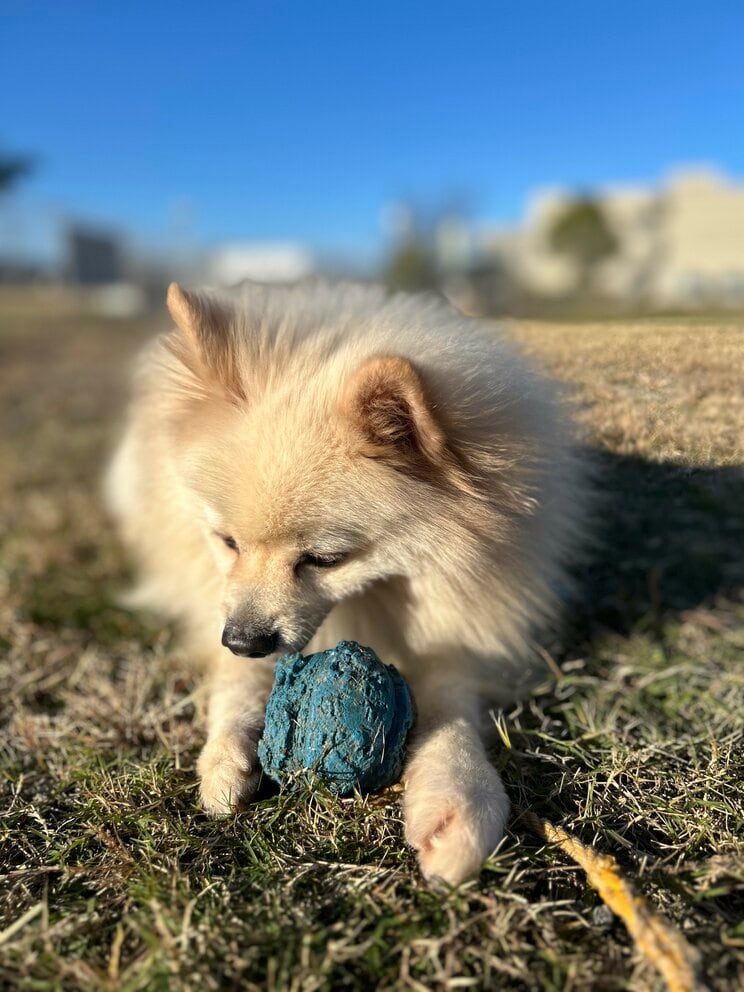 （写真／竹越さん提供）