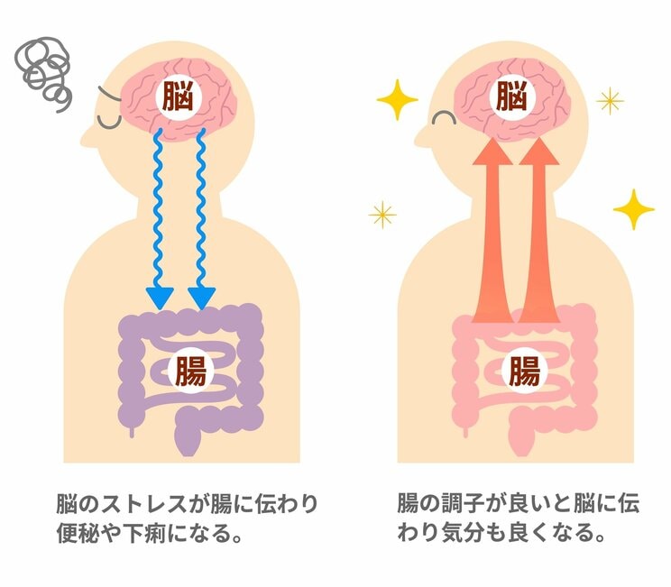 「小麦製品・牛乳・人工甘味料」化学物質過敏症の人が控えるべき3つの食べ物。整えるべきは「腸」の驚くべき理由_1