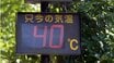 《熱中症・ペットボトル症候群》「清涼飲料水を毎日1.5リットル以上飲む人は要注意」暑い日に増える間違えた“水分補給”…日常で選ぶべき飲み物は？