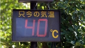 《熱中症・ペットボトル症候群》「清涼飲料水を毎日1.5リットル以上飲む人は要注意」暑い日に増える間違えた“水分補給”…日常で選ぶべき飲み物は？