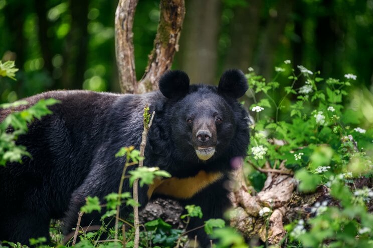 写真はイメージです（写真／Shutterstock）