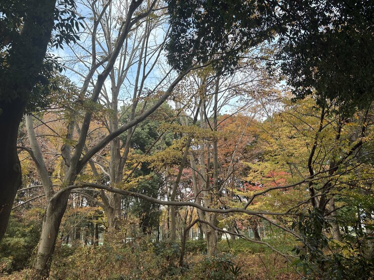 ふたつ池付近（写真／集英社オンライン）