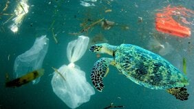 何故プラスチックゴミが海に流失するのか。では埋めればいいのか?焼却すればいいのか? 廃プラスチックのもっとも「サステナブル」な処分方法とは
