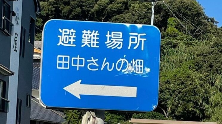 （写真／高知かわうそ市場）