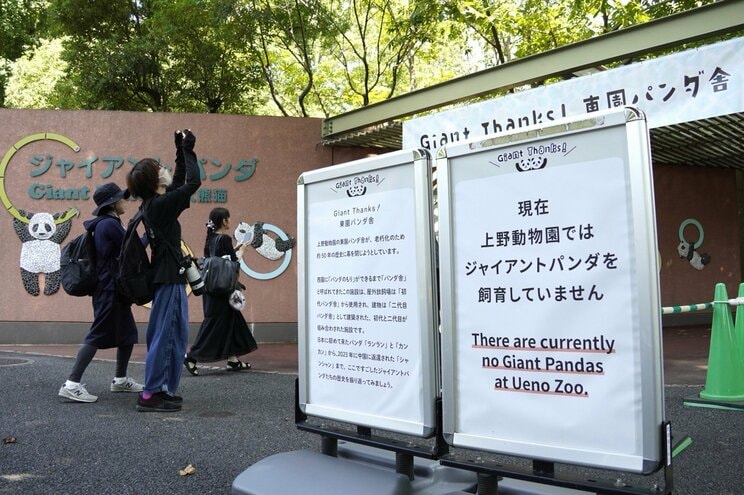 「クマだろ」「なんでその動物にこだわるの」…“アンチ中国” 石原慎太郎が最後は上野パンダ復活を後押しした舞台裏_14