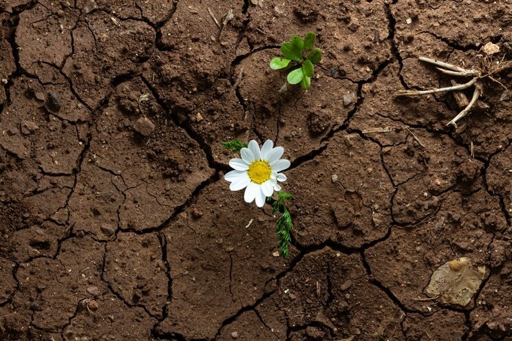 写真はイメージです（写真／Shutterstock）