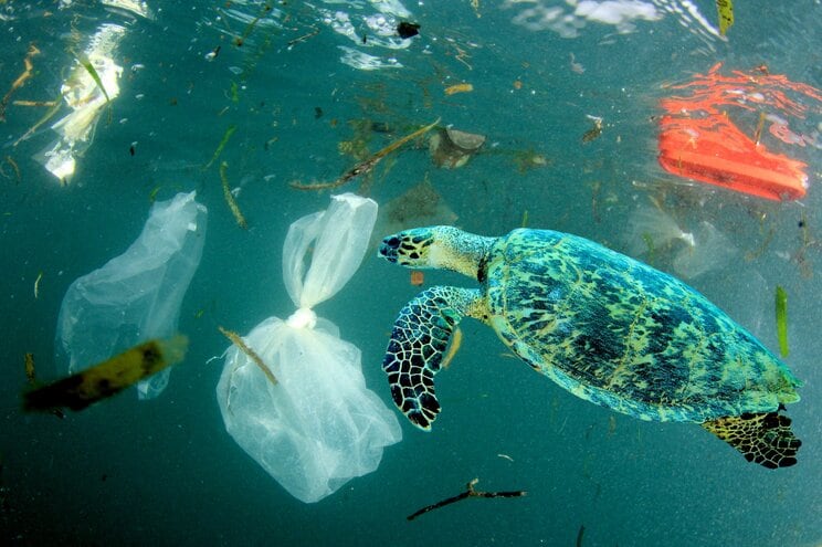 何故プラスチックゴミが海に流失するのか。では埋めればいいのか？焼却すればいいのか？　廃プラスチックのもっとも「サステナブル」な処分方法とは_1