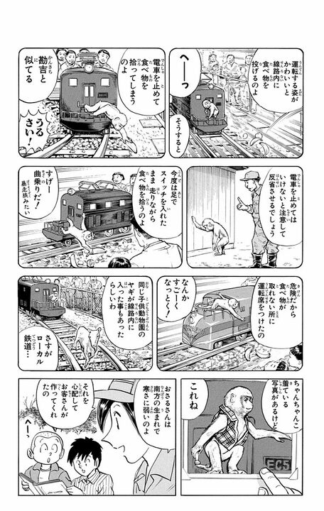 【こち亀】戦後間もない動物園をにぎやかした「おさるの電車」…若き日の両さんと猿飼育員のお姉さんの恋路の行方とは_11