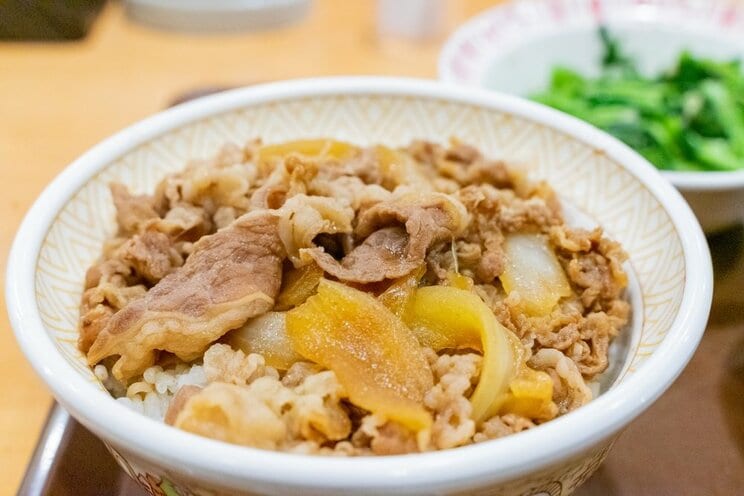 「すき家」の牛丼（画像／shutterstock）