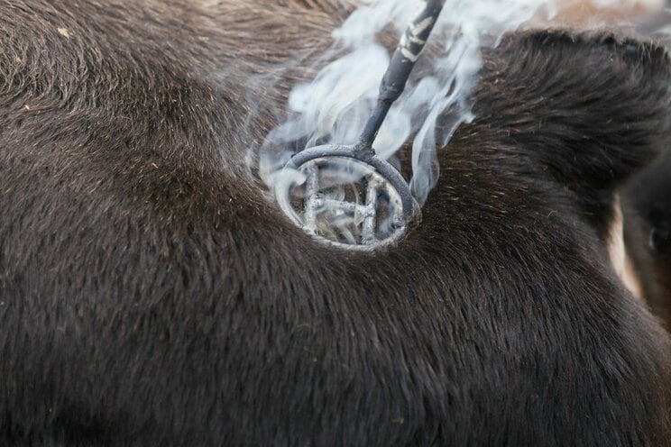 写真はイメージです　写真／Shutterstock