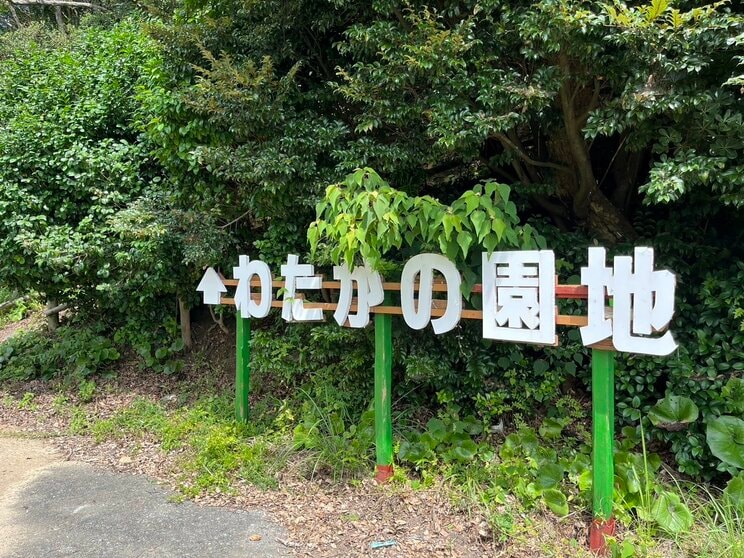 〈売春島と呼ばれた島③〉「相方のヤクザに200万円で売り飛ばされてここにきた」元娼婦が語る身売りからギャンブル、クスリ漬けの日々…それでも「ここは青春の島やった」と語れる理由_22