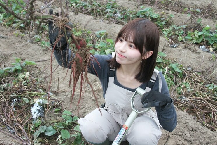 「さつまいも農家タレント」の上西萌々（撮影／千駄木雄大）