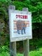 近年ではクマ出没のリスクも（写真AC）