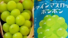 〈転売価格は100倍でも〉「俺らはやらないですよ」「リスクが高い」プロ転売ヤーたちはシャインマスカットボンボンに興味なし！ 実際に転売している“ヤツ”らの正体とは…