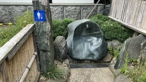 「これは使えません（笑）」外国人観光客も困惑…浅草寺境内にある“謎の丸見えトイレ”の真相