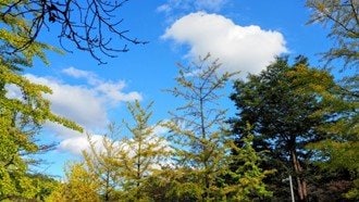 （写真はイメージ）