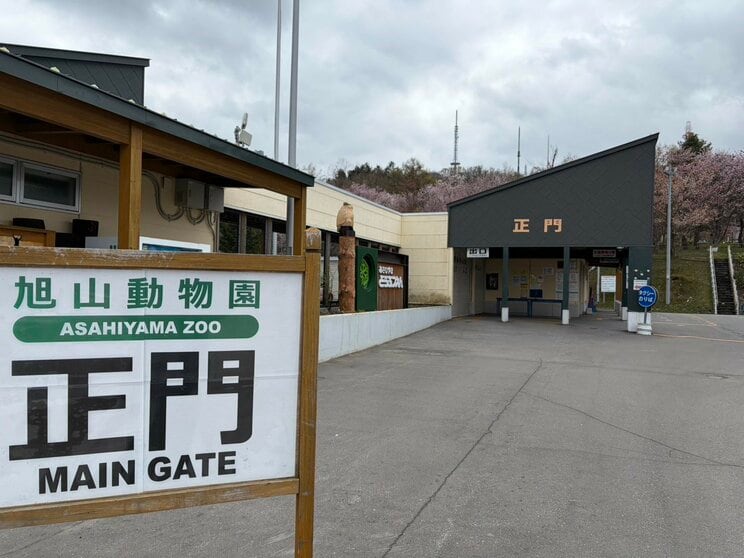 ≪旭山動物園・遺体焼却か≫「ワンちゃんをとても可愛がっていた…」愛犬家の夫、直前に自宅で起きた“謎の事故”で妻は「車を見ませんでしたか？」園は5月1日に開園予定も「捜査は終わるのか」_13