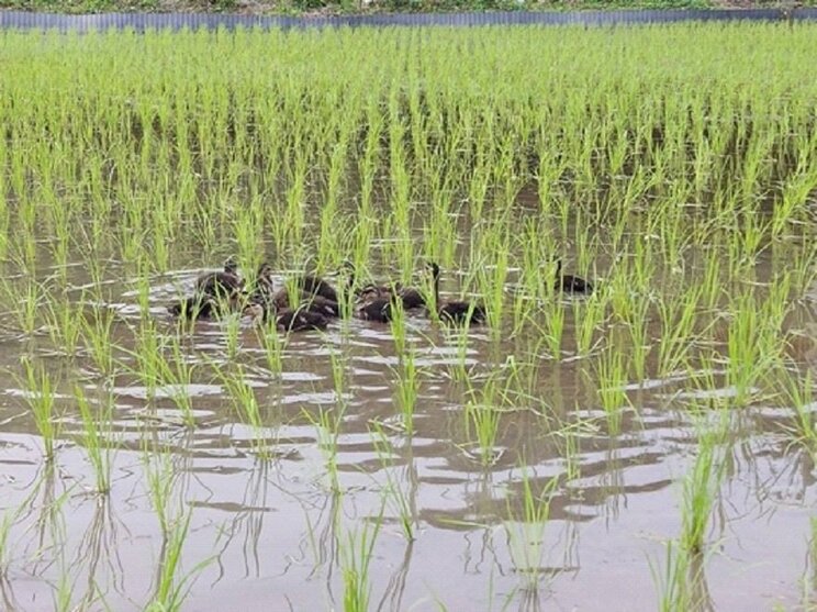 （写真提供／田宮竜平さん）