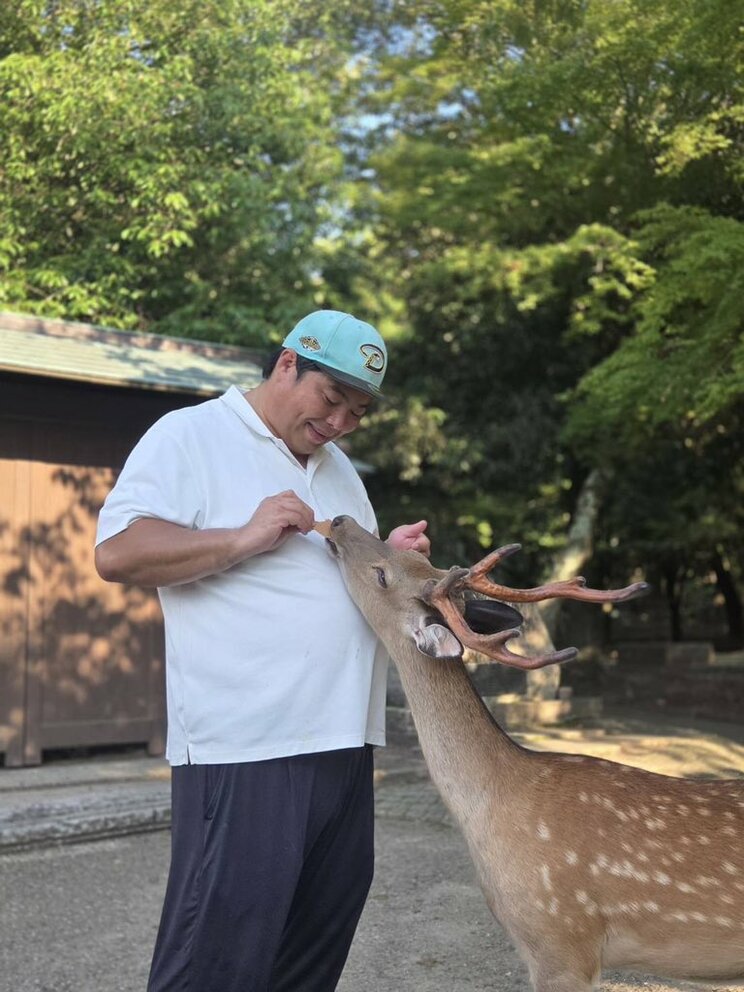シカと触れ合うへずまりゅう