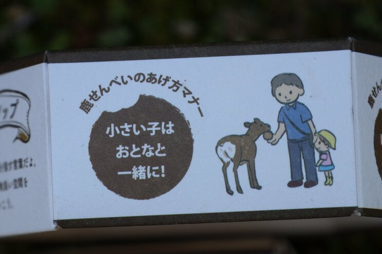 奈良公園内に「しかせんべい」の自販機登場で、露天のおばちゃんたちが廃業の危機!?_15