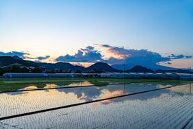 「夢をかなえるためになぜ私は全力を尽くさなかった」終末患者に聞いた「人生の後悔」5選「ふるさとに帰ればよかった…」