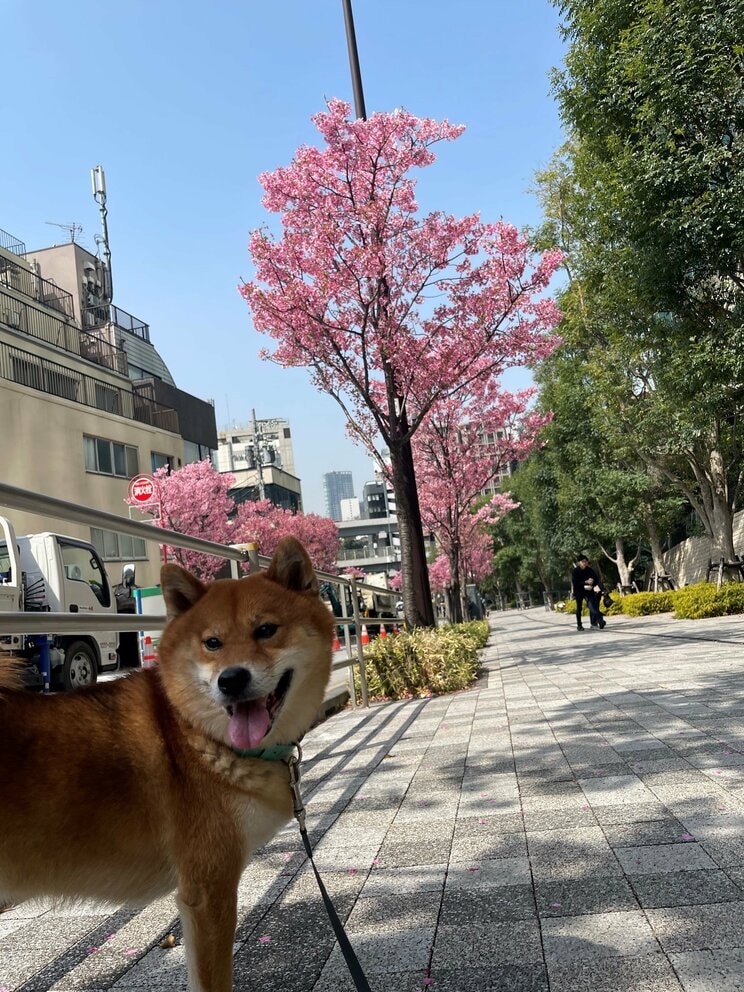 なぜ脱走するのか？