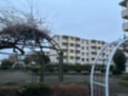 「葬式をあげる金がない」と糖尿病で失明した息子の遺体を放置した容疑で90歳父親を逮捕…事件が発覚しパトカーが集まると「俺んとこだ、ちょっくら行ってくるわ」