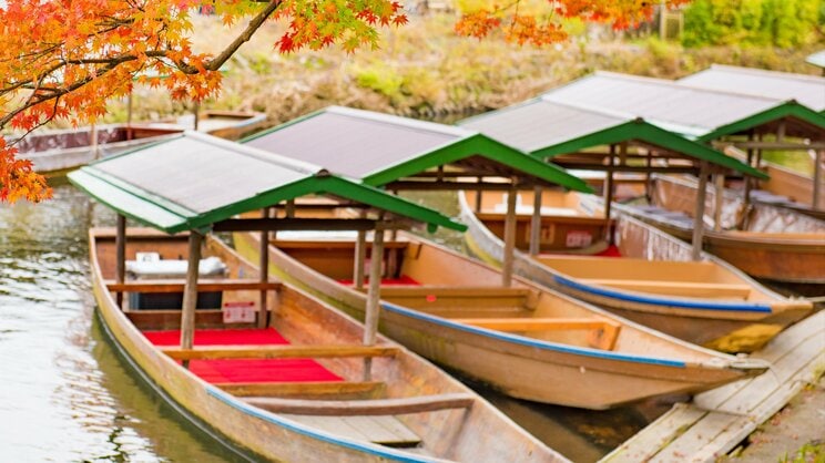 写真はイメージ 写真/Shutterstock