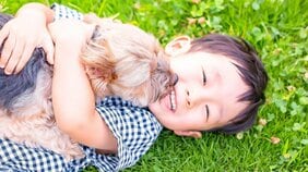 「日本の動物福祉を世界トップレベルに」を目指す、アニマル・ドネーションのAWGsの取り組み