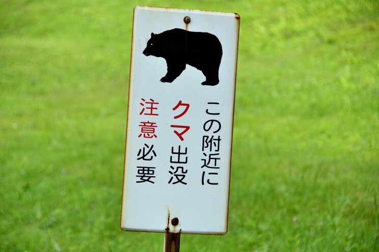 画像はイメージです