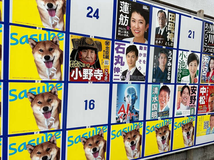 2024年の都知事選の選挙ポスター　写真／Shutterstock