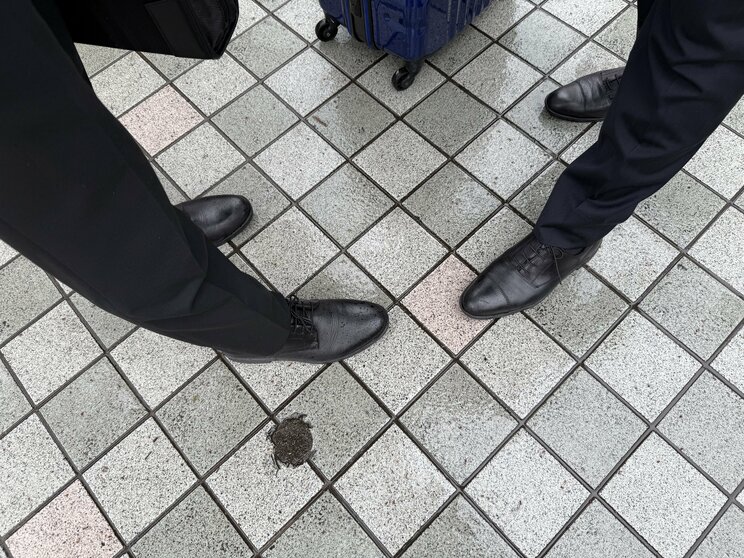 回答してくれた新社会人（撮影／集英社オンライン）