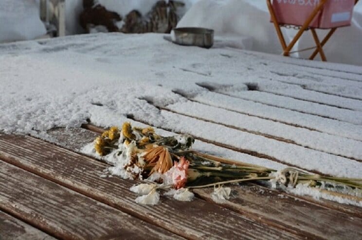 神居古潭の東屋には手向けられた花が雪に埋もれていた（筆者撮影）