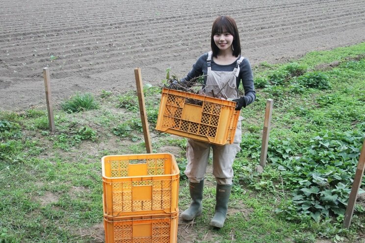 農作業をする上西萌々（撮影／千駄木雄大）