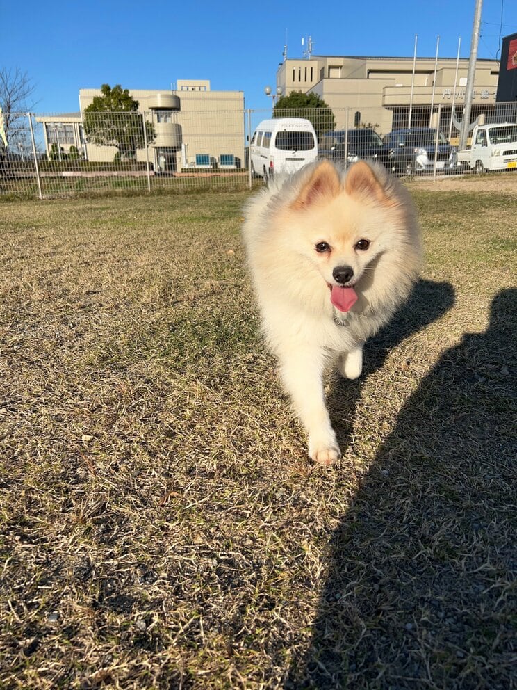 （写真／竹越さん提供）